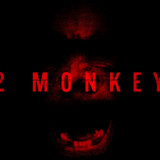 12-monkeys