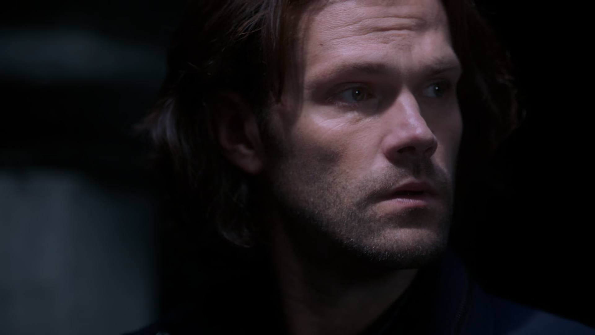 Download Supernatural.S15.1080p.BluRay.AV1-PTNX Torrent | 1337x