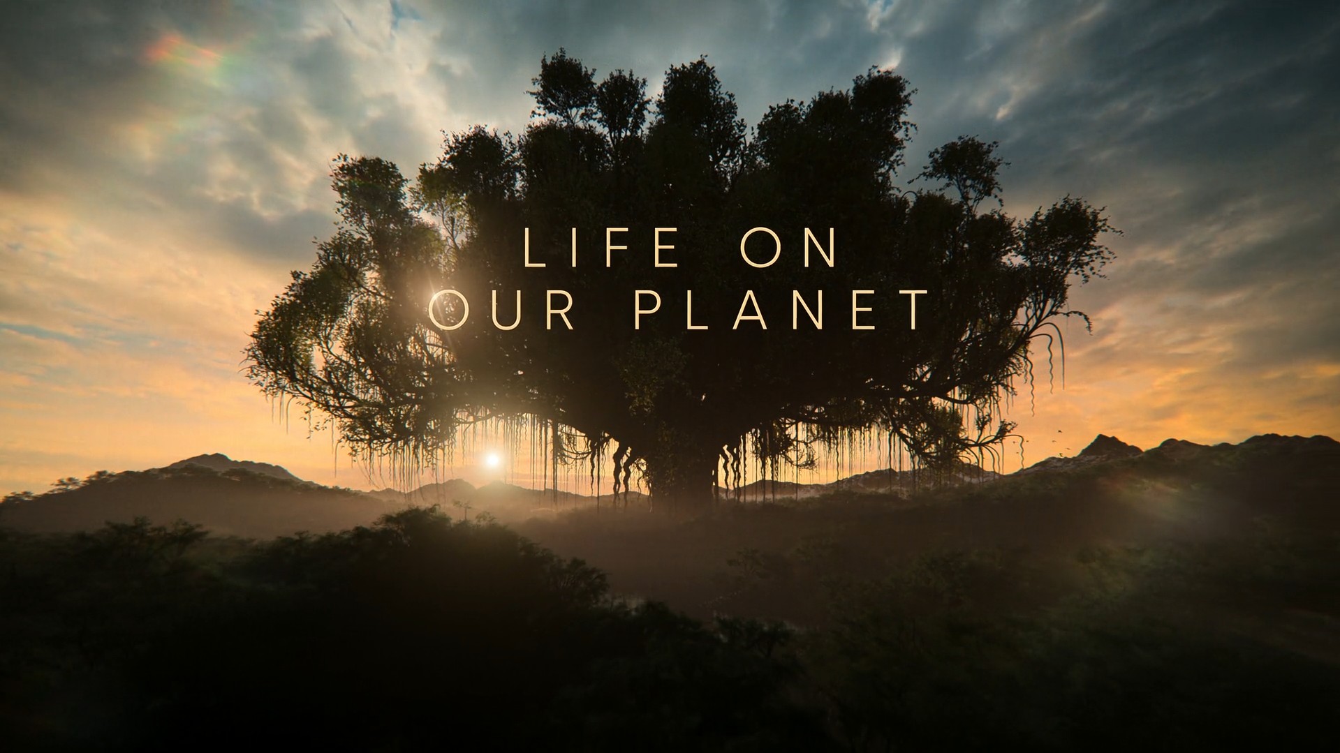 Movie cover image